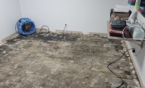 Amerestore - America's Restoration Team