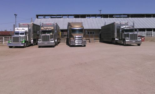 Bartel Truck Line LLC