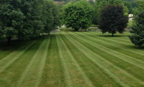 D & L Lawn Care and Landscape