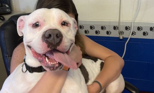 Danville Pet Resort, Inc.