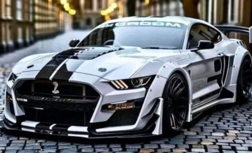 RO’S Auto Mobile Detailing