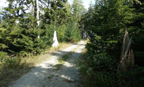 Newman & Gray Boatyard Cranberry Isles