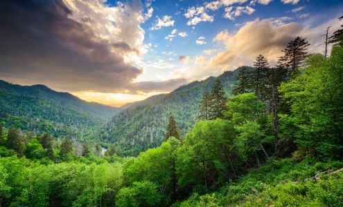 Jerry Lee Mountain Realty Maggie Valley