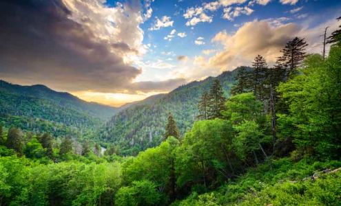 Premier Vacation Rentals Maggie Valley