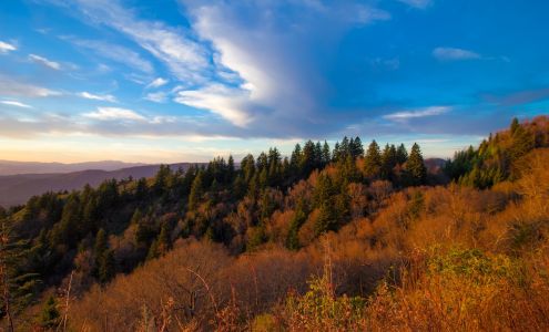 WNC Real Estate Store Maggie Valley