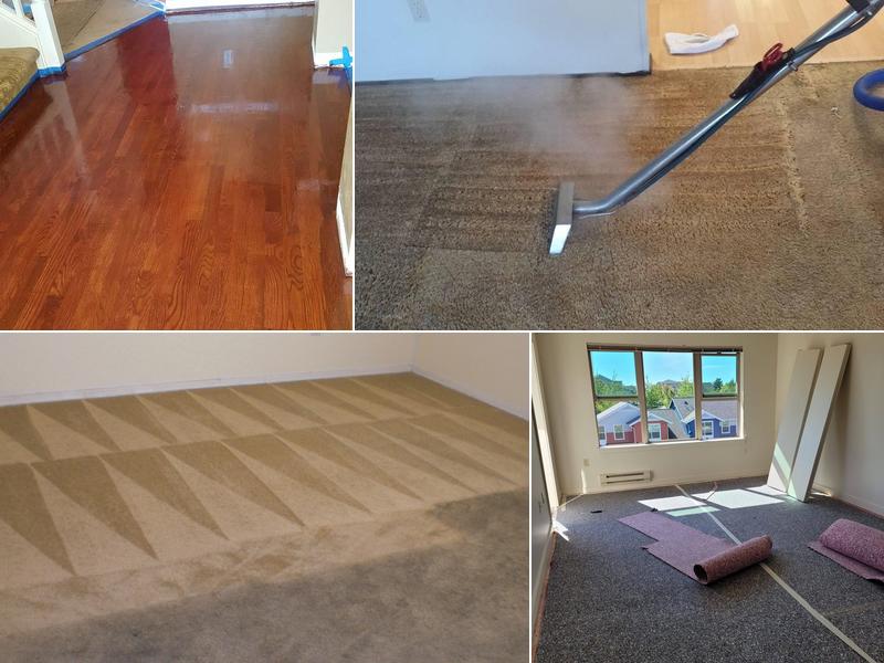 Hunter Carpet Cleaning