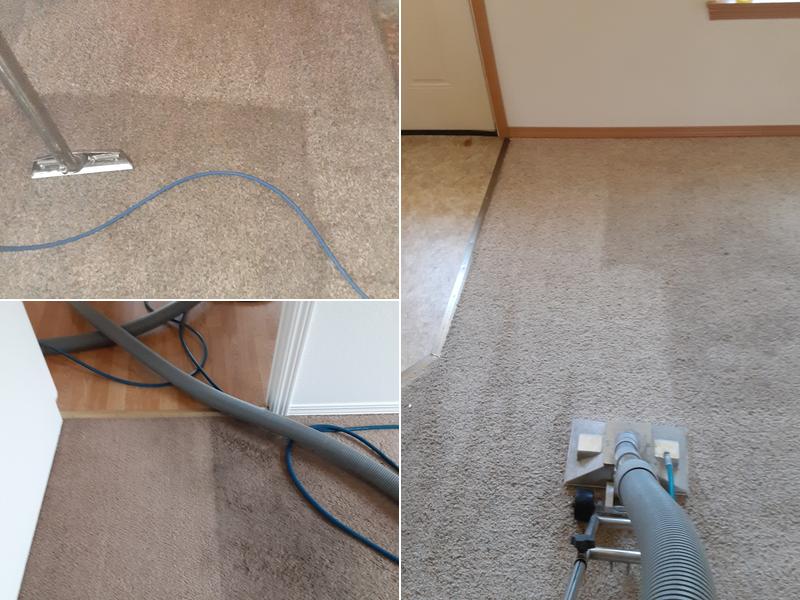 Yakima Carpet Cleaners