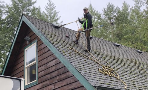 Noah's Roof Cleaning