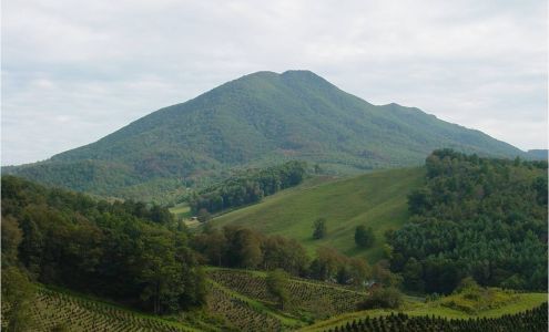 River Ridge Tree Farm Crumpler