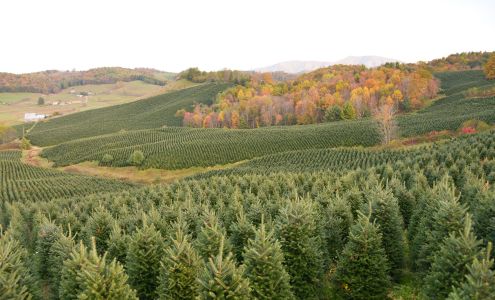 Shatley Farms Jefferson