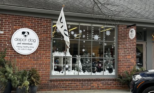 depot dog boutique Washington Depot