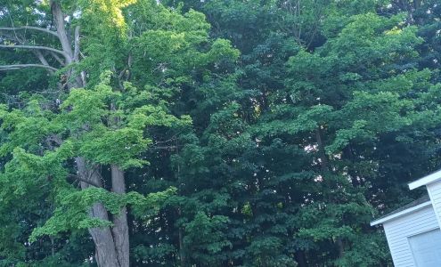 Dexterville Community Services Fulton