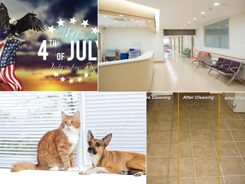 Advanced Cleaning & Restoration