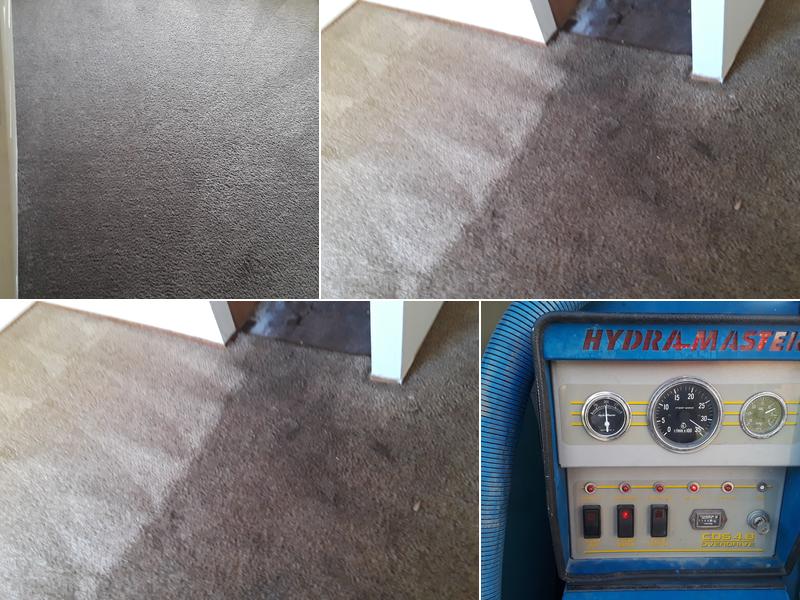 American Steam Cleaning Carpet cleaning