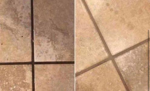 Clean Choice Steam Carpet