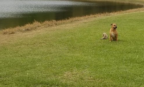 Advanced Super Clean, LLC