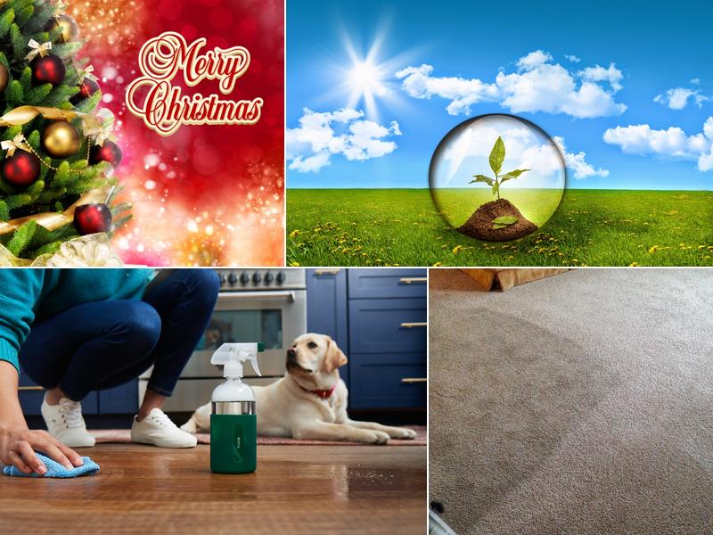 EKO Carpet & Rug Cleaning Metairie