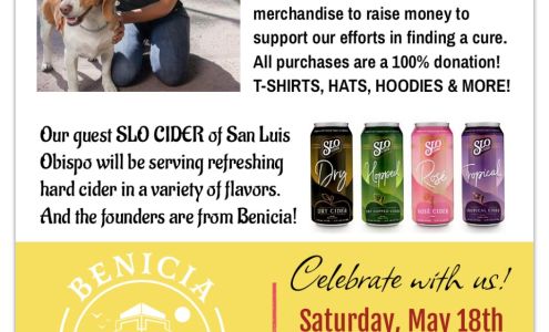 Spotless Carpet Cleaning