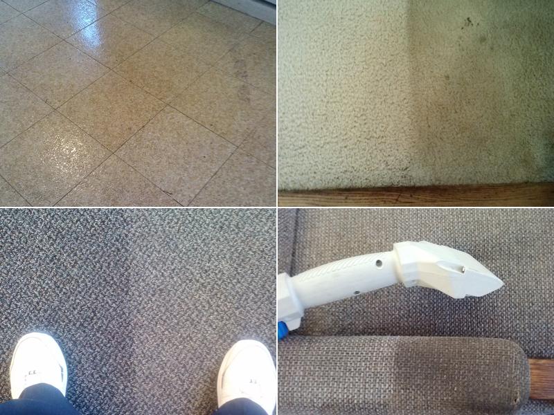Carpet Cleaning Plus