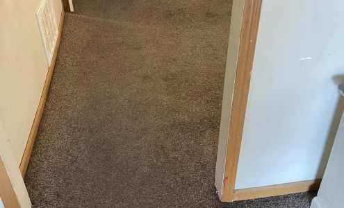 Sparkle Carpet Cleaning