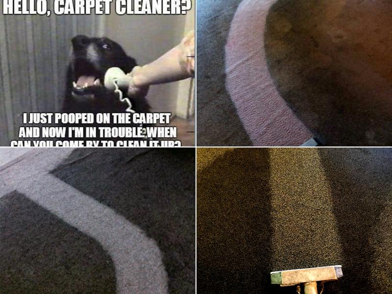 Paramount Carpet Care