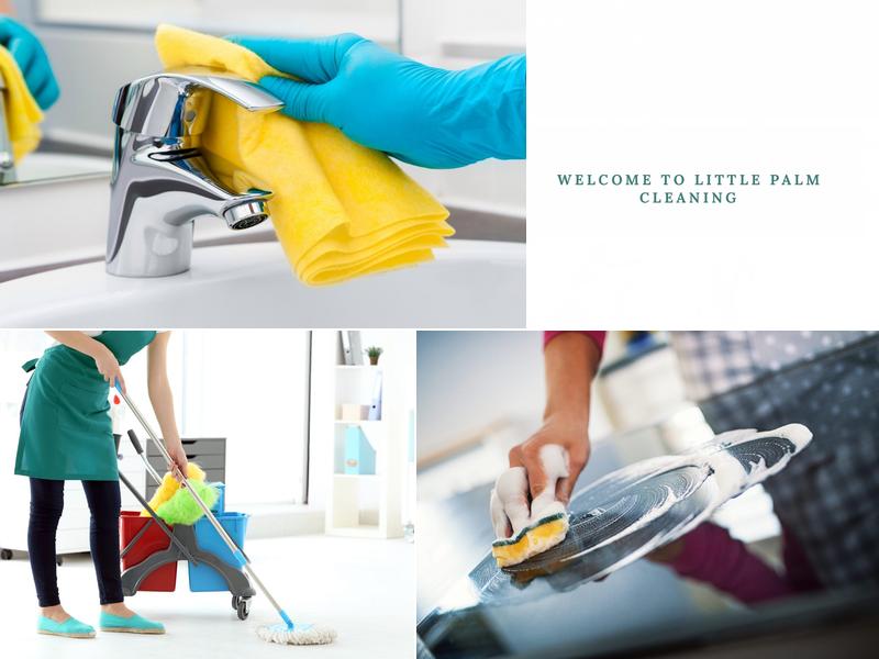 Little Palm Cleaning LLC