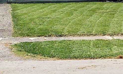 J&M Lawn Care Service