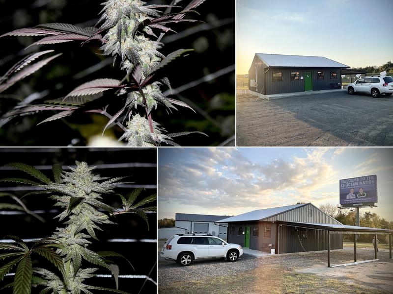 The Station - Pocola