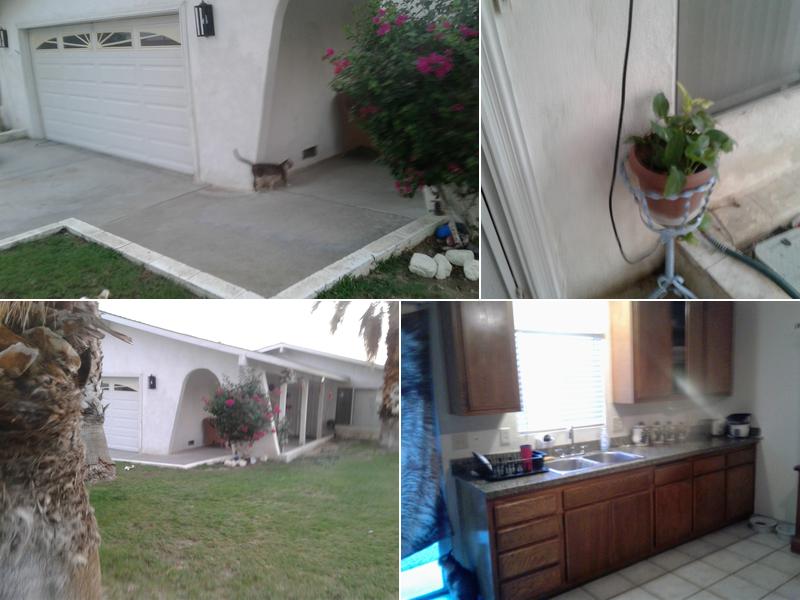 Plumber In the Palm Springs