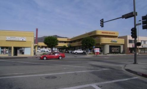 Race Insurance Services