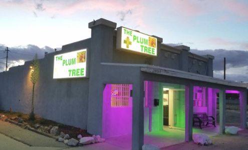 The Plum Tree Collective Rosamond