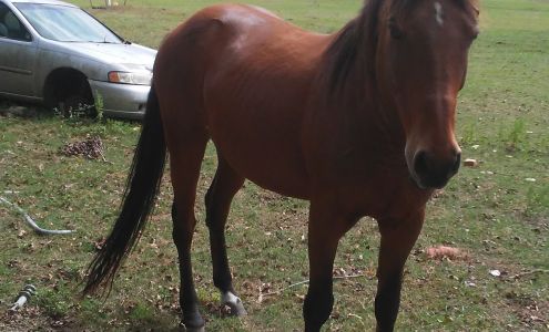 Collin's Air Duct Service