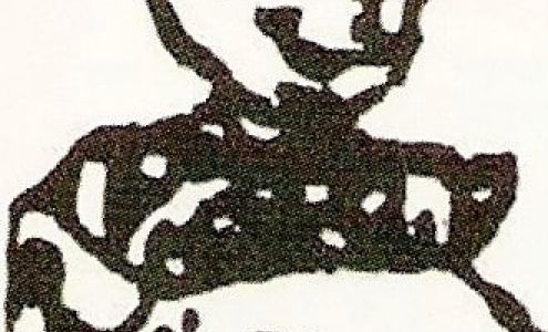 Aztec Mexico Insurance Agency