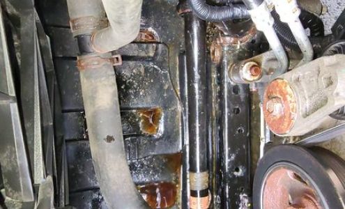 Elkins Fordland Service Elkins