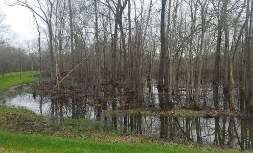 Gus Engeling WMA Tennessee Colony