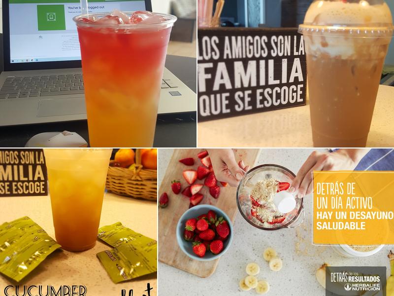 United Nutrition Protein Lounge Herbalife