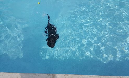 Buffalo Center Swimming Pool Buffalo Center