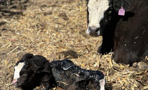 Moorhead Feed Supply Moorhead
