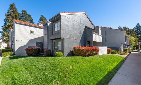 ReNew on Summerfield