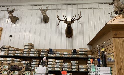 Westland Seed Inc Ronan