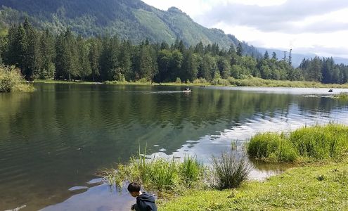 Public Launch Maple Falls