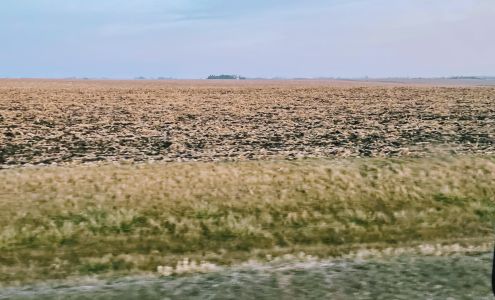 BURMEISTER FARMS Rowley