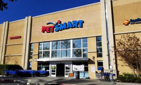 PetSmart Grooming