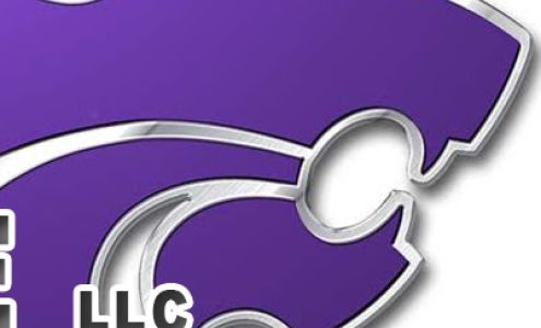 Wildcat Pest & Wildlife 2137 Kensington Dr, Waukesha Wisconsin 53188