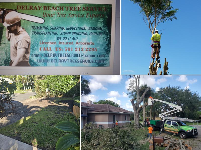 Delray Tree Service