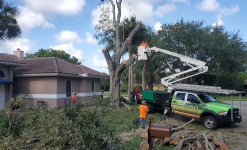 Delray Tree Service