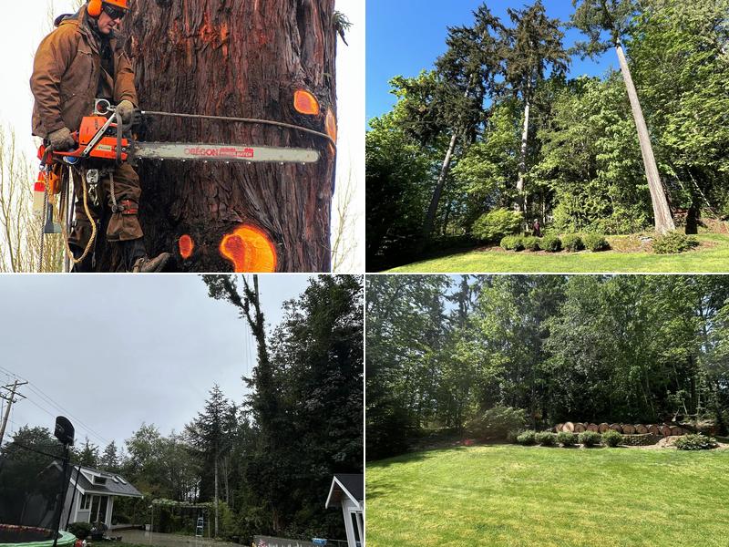 Nelson's Tree Service