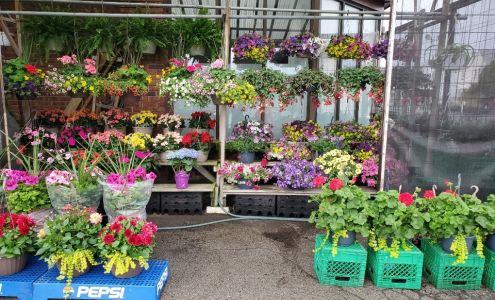 Main St Convenience Niagara Falls