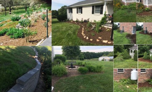 L.S. Tree And Landscape