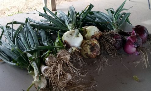 epps farm lucious epps Maxton